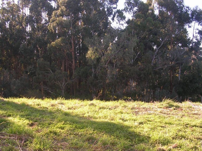 14 Searle Street, Macclesfield SA 5153