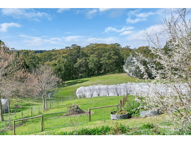 427 Croft Road, Lenswood SA 5240