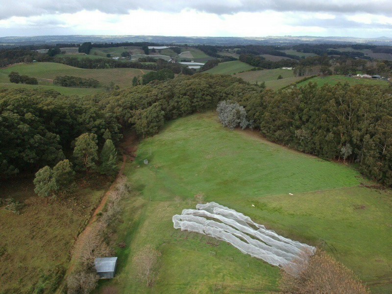 427 Croft Road, Lenswood SA 5240