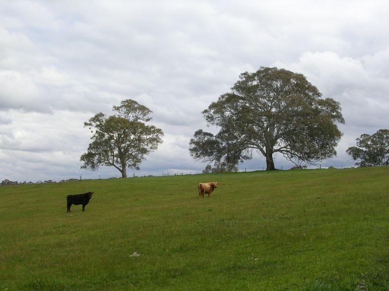 Lot 34 Morning Star Road, Wistow SA 5251