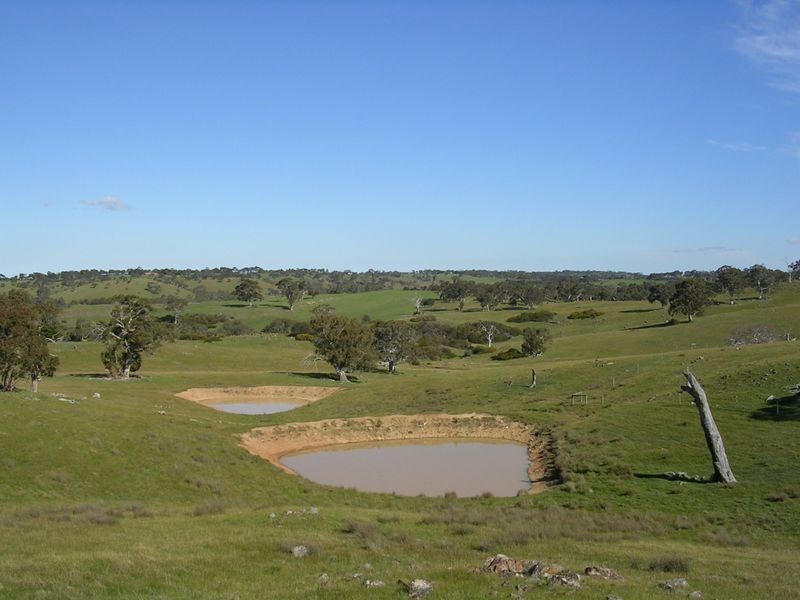 Lot 5 Wiles Fire Track, Wistow SA 5251