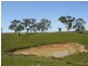 Lot 5 Wiles Fire Track, Wistow SA 5251