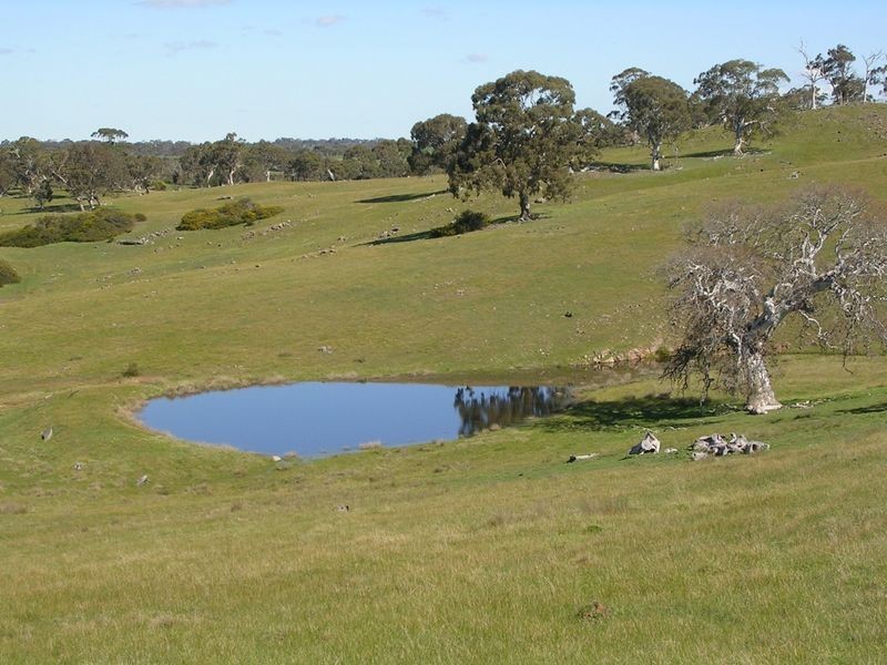 Lot 5 Wiles Fire Track, Wistow SA 5251