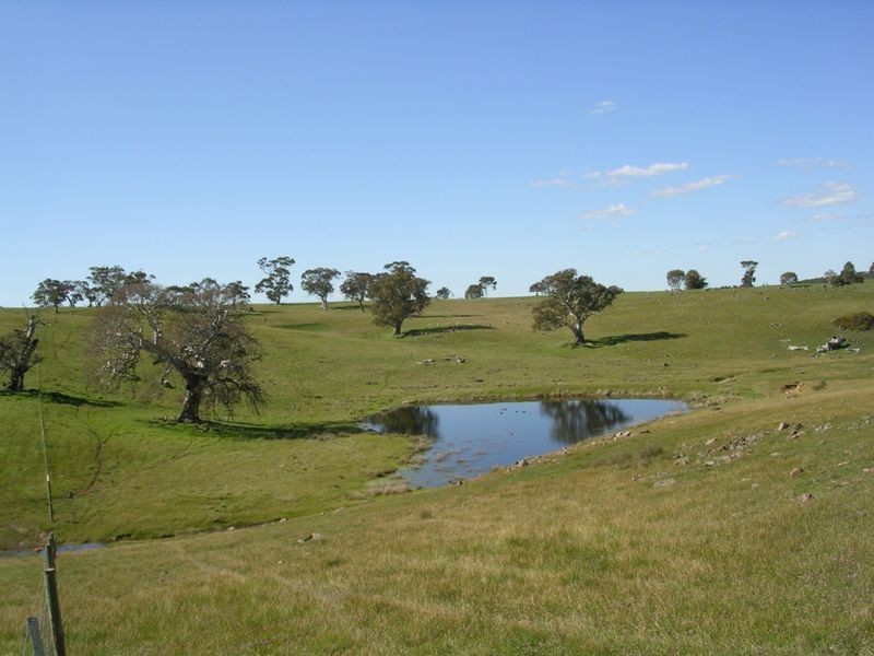 Lot 5 Wiles Fire Track, Wistow SA 5251