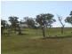 Lot 5 Wiles Fire Track, Wistow SA 5251