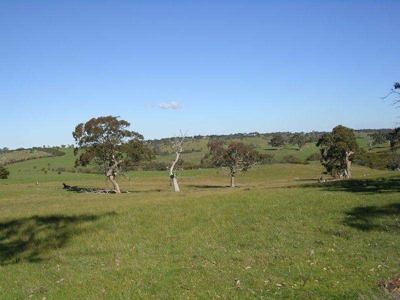 Lot 5 Wiles Fire Track, Wistow SA 5251