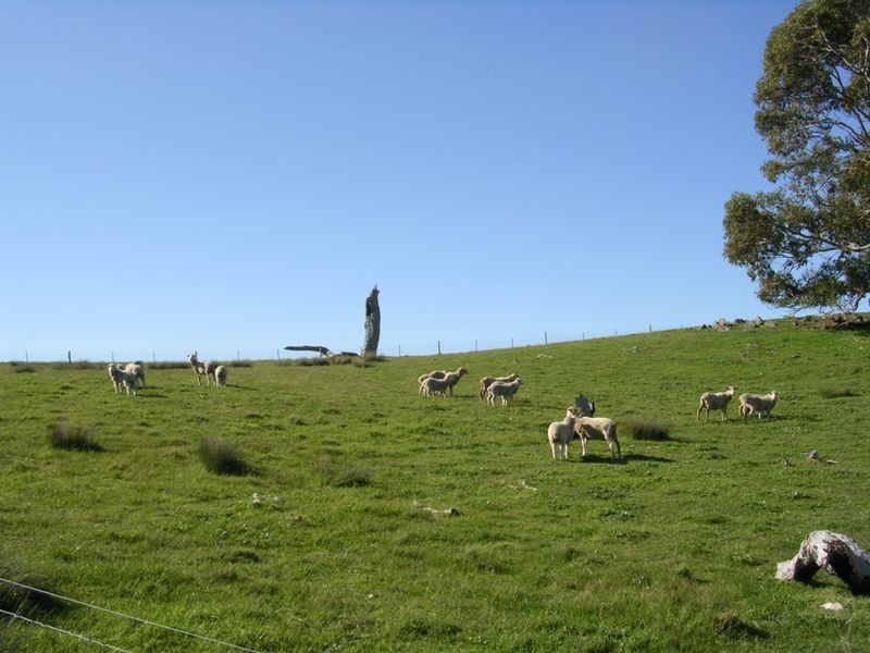 Lot 5 Wiles Fire Track, Wistow SA 5251