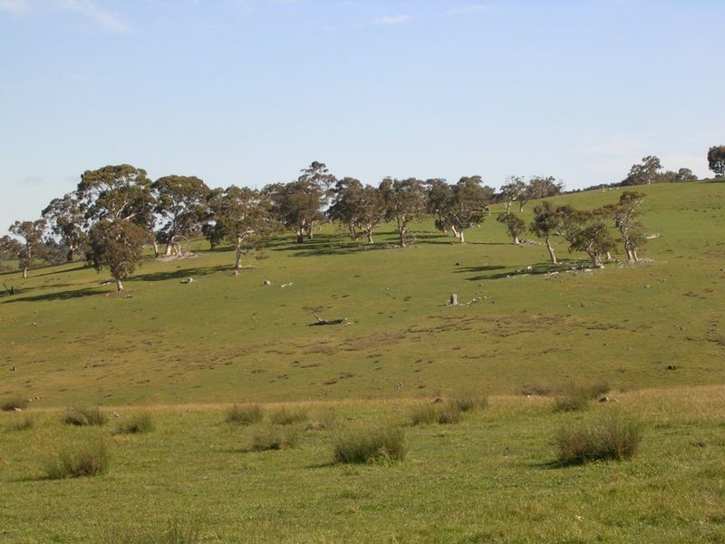 Lot 4 Wiles Fire Track, Wistow SA 5251