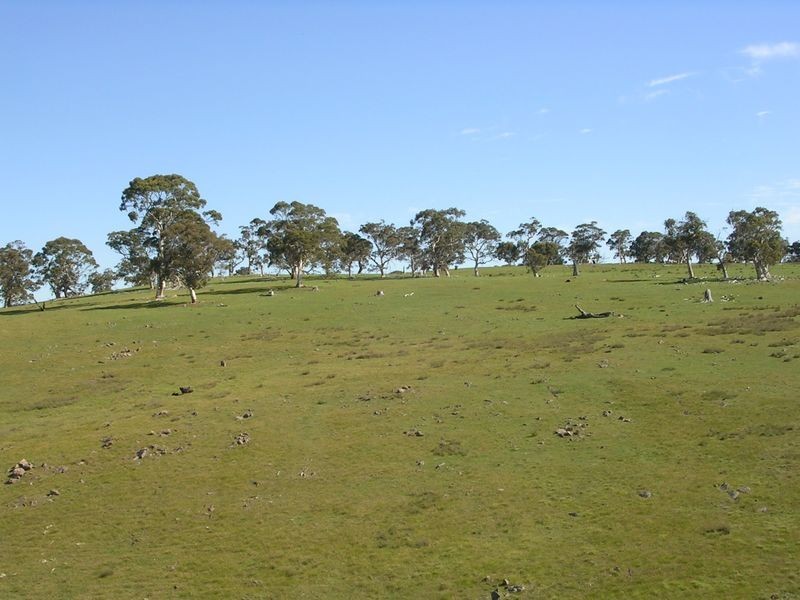 Lot 4 Wiles Fire Track, Wistow SA 5251