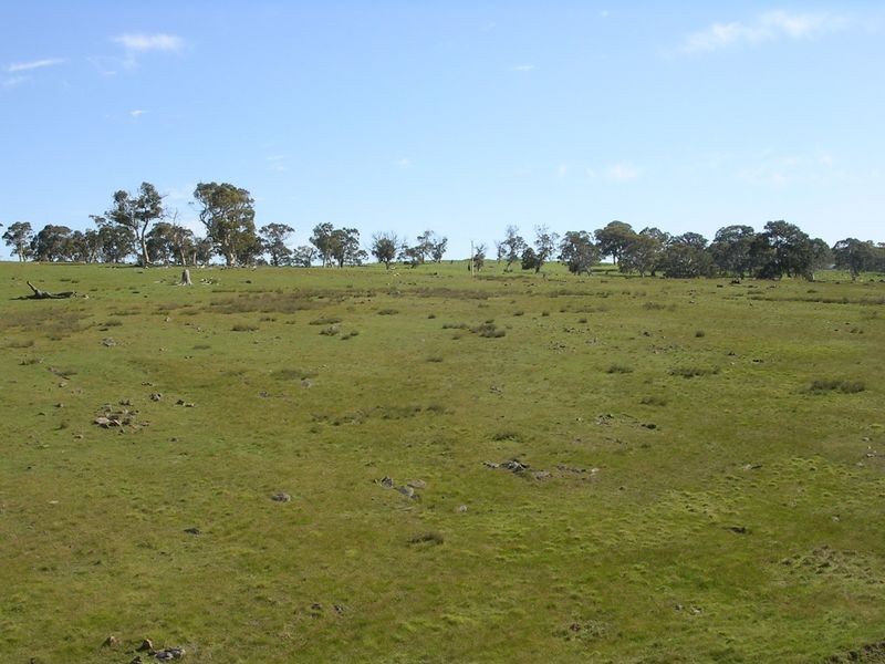 Lot 4 Wiles Fire Track, Wistow SA 5251