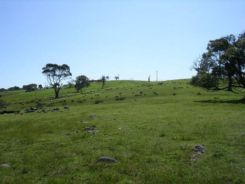 Lot 4 Wiles Fire Track, Wistow SA 5251