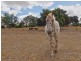 838 Flaxley Road, Flaxley SA 5153