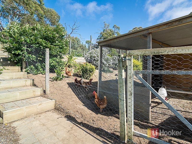 36 Claret Ash Drive, Mount Barker SA 5251