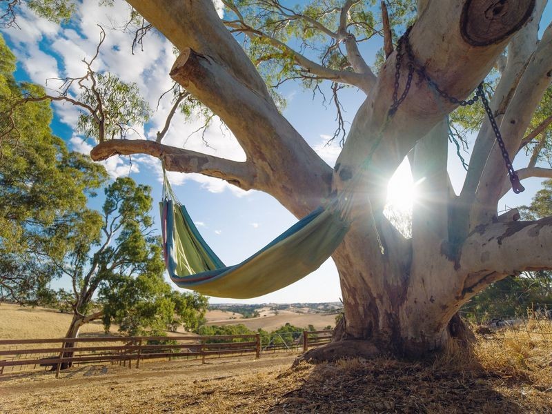 147E The Glen Road, Harrogate SA 5244