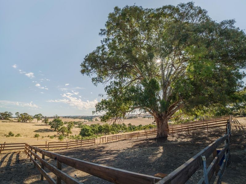 147E The Glen Road, Harrogate SA 5244