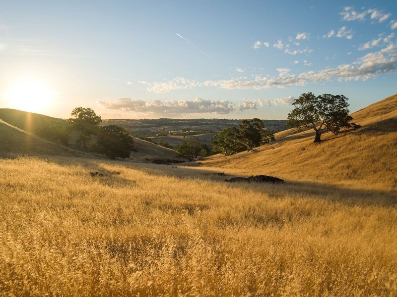 147E The Glen Road, Harrogate SA 5244