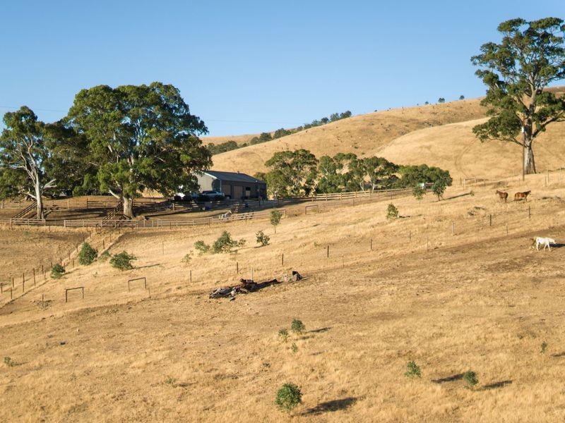 147E The Glen Road, Harrogate SA 5244