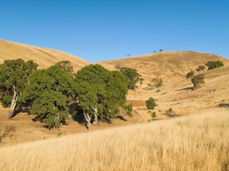 147E The Glen Road, Harrogate SA 5244