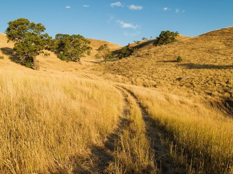 147E The Glen Road, Harrogate SA 5244