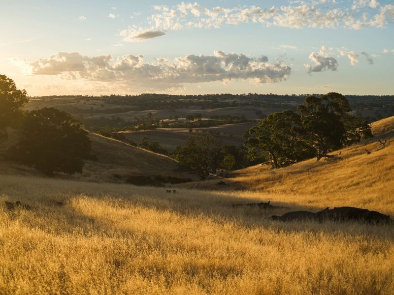 147E The Glen Road, Harrogate SA 5244