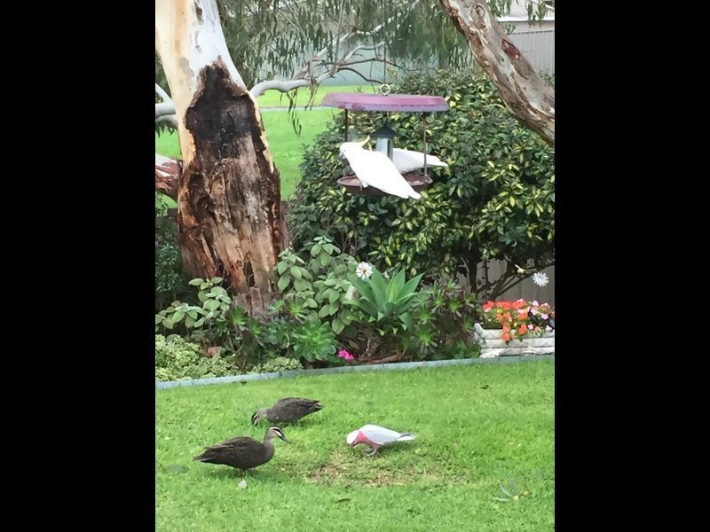 8/11 Britannia Road, Nairne SA 5252