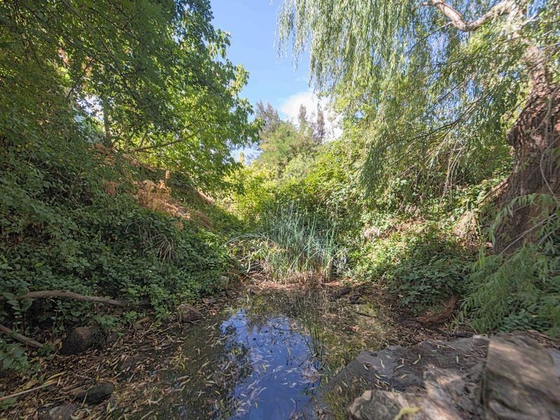 29 Cameron Road, Mount Barker SA 5251