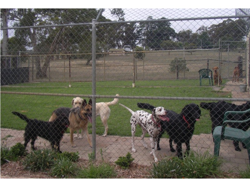 8 Liebelt Road, Echunga SA 5153