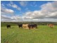 82F Treutler Road, Wistow SA 5251