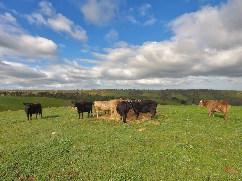 82F Treutler Road, Wistow SA 5251