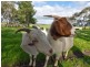 82F Treutler Road, Wistow SA 5251