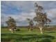 82F Treutler Road, Wistow SA 5251
