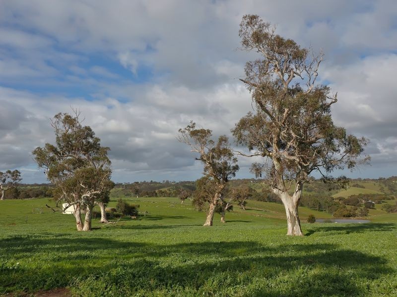 82F Treutler Road, Wistow SA 5251