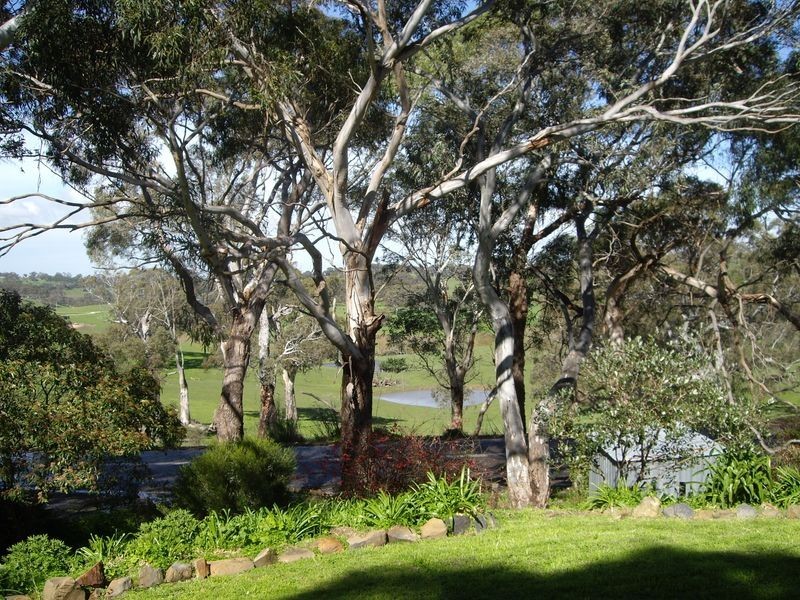 43 Wirrinilla Drive, Macclesfield SA 5153