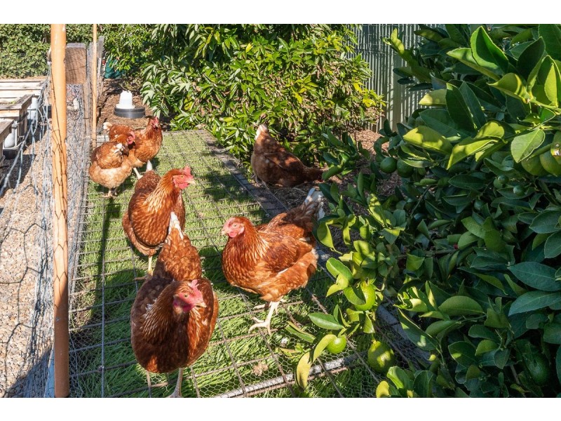 10 Hannam Street, Callington SA 5254