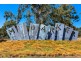 12A Wuttke Road, Mount Barker SA 5251