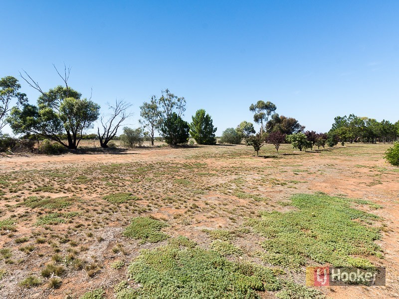 63 Evans Road, Tailem Bend SA 5259