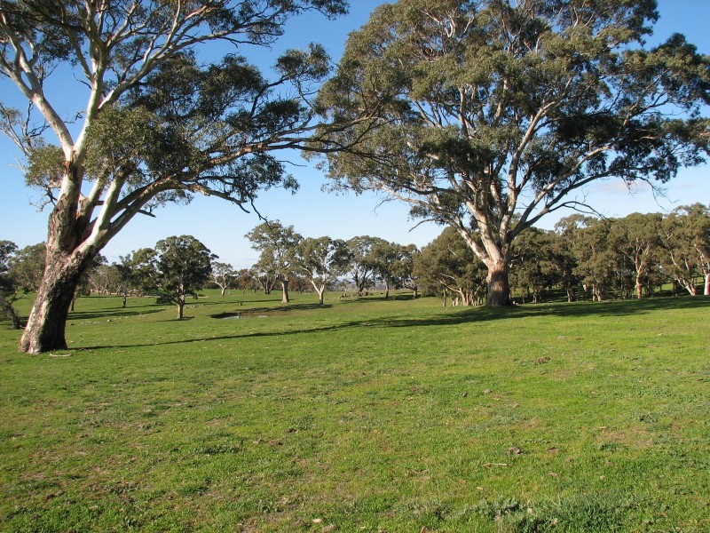 Lot 6409 Sheoak Hill Road, Mount Torrens SA 5244