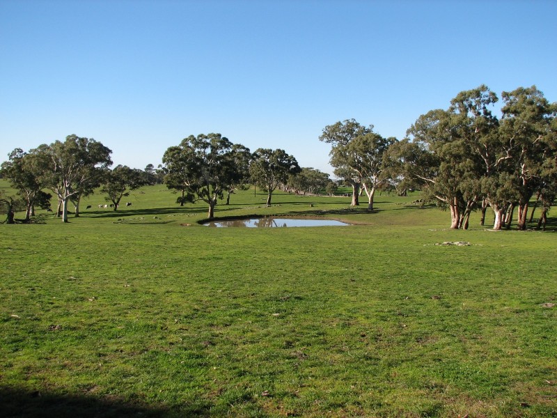 Lot 6409 Sheoak Hill Road, Mount Torrens SA 5244