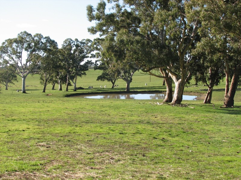 Lot 6409 Sheoak Hill Road, Mount Torrens SA 5244