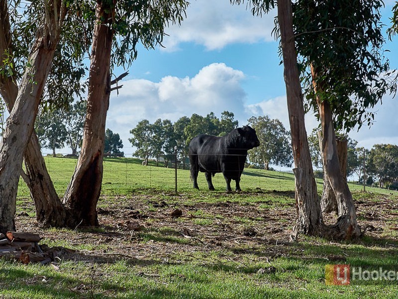 90 Summit Road, Nairne SA 5252