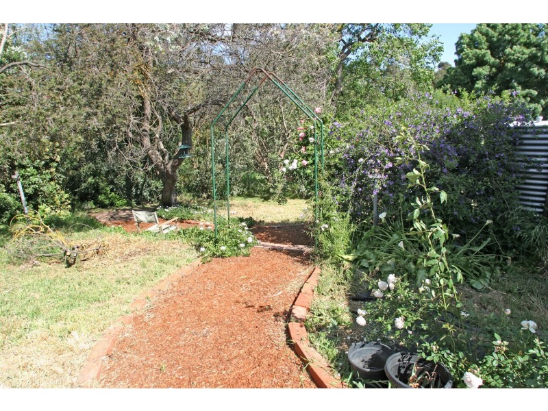 6 Cockburn Street, Nairne SA 5252