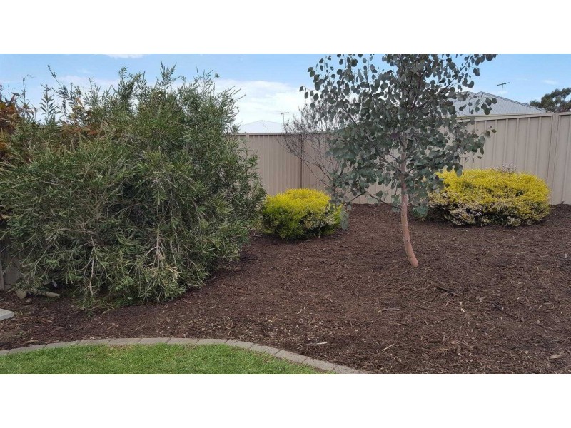 3 Holstein Close, Mount Barker SA 5251