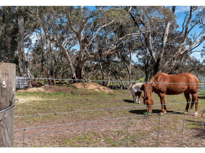 216 Dunn Road, Bugle Ranges SA 5251