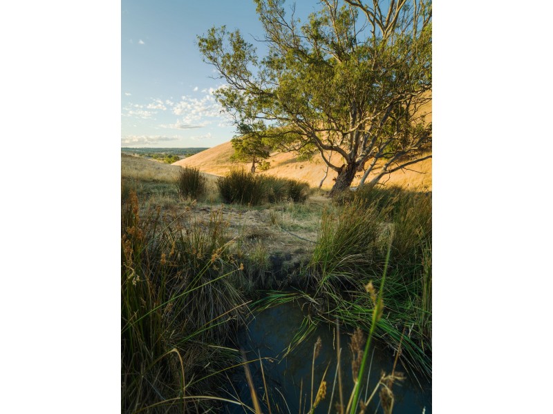 147E The Glen Road, Harrogate SA 5244