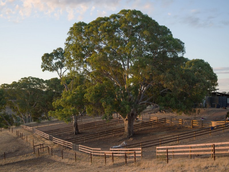 147E The Glen Road, Harrogate SA 5244