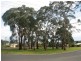 29 Maldon Street, Mount Barker SA 5251