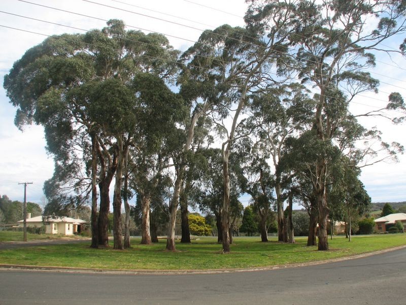 29 Maldon Street, Mount Barker SA 5251