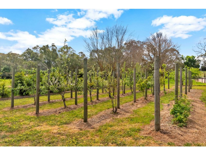 330 Church Hill Road, Echunga SA 5153