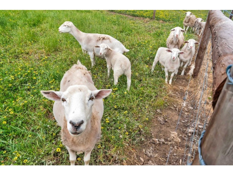 330 Church Hill Road, Echunga SA 5153