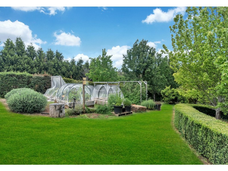 11 Claret Ash Drive, Mount Barker SA 5251
